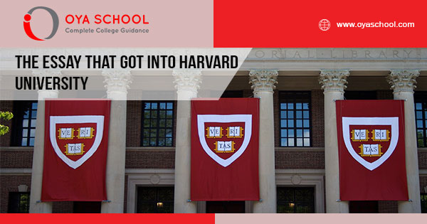 The Essay that Got Into Harvard University