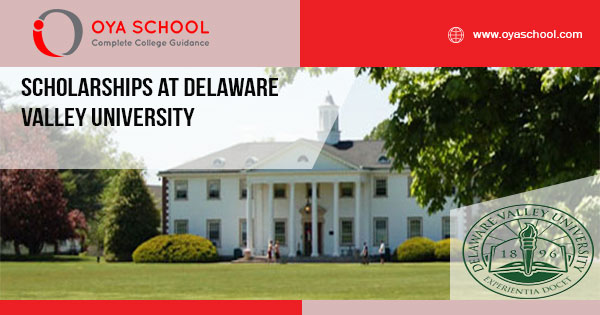 Scholarships at Delaware Valley University