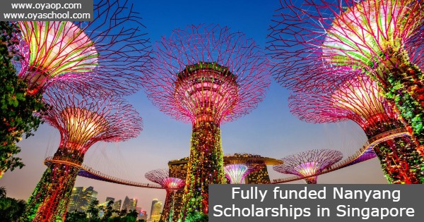 Nanyang Scholarships