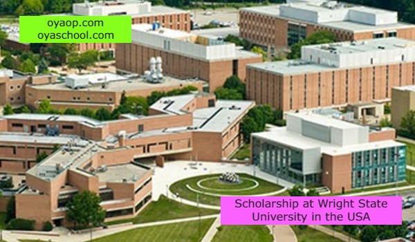 Scholarship at Wright State University in the USA